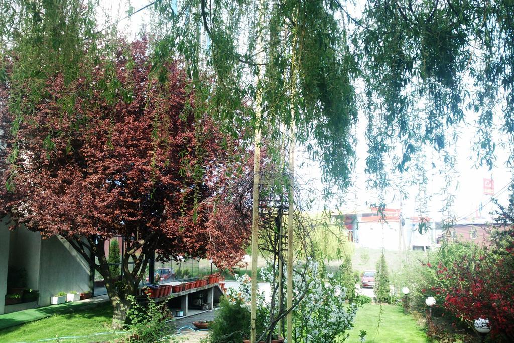 Hotel Aldi Cagllavice 外观 照片
